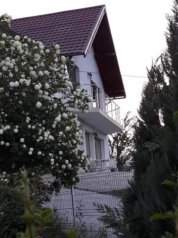 Фото номера Вилла Виллы Vila Hubertus г. Куртя-де-Арджеш 47